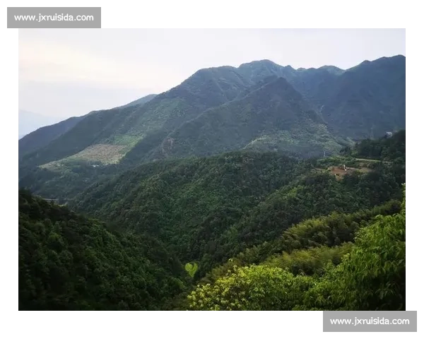 1200 人赴松阳之约：在江南秘境中定向穿行